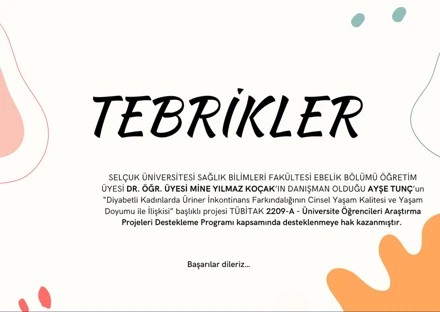 TÜBİTAK 2209-A - Üniversite Öğrencileri Araştırma Projeleri Destekleme Programı Desteklenen Projeler